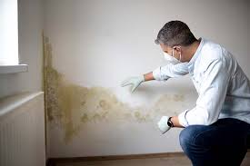 Best Mold Removal for HVAC Installations  in Brownsville, TX